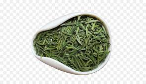Чай Синянг Мао Джян китайский зеленый сплющил выбранное хорошо листьев зеленого чая естественное